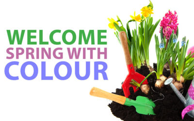 Welcome Spring With Colour