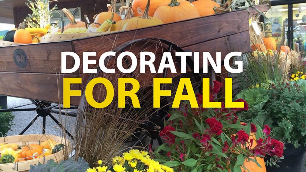 Decorating for Fall