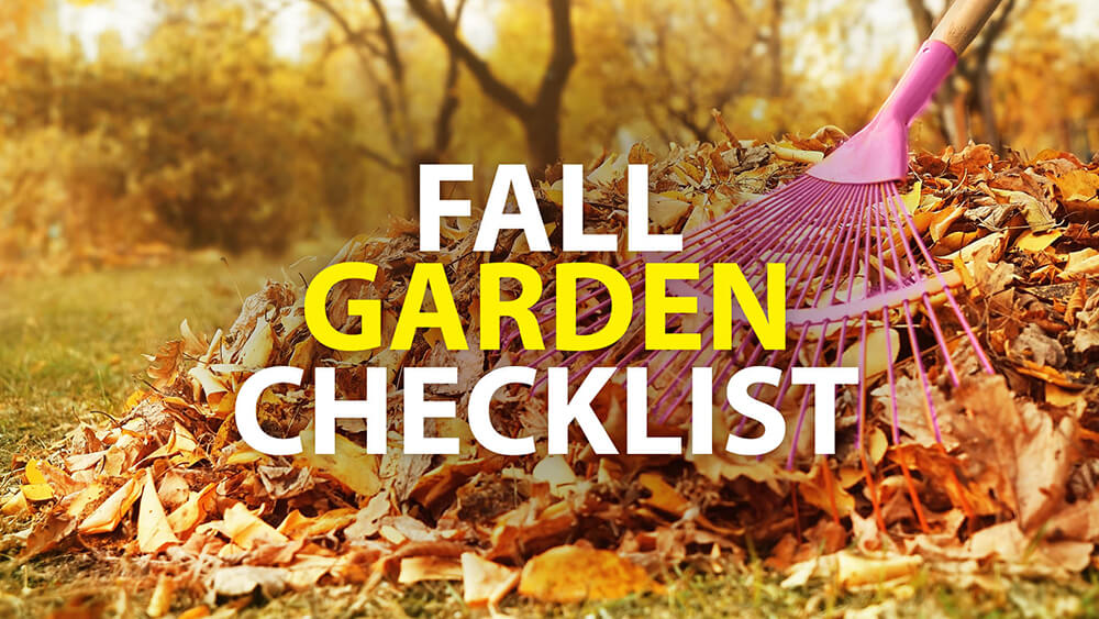 Fall Gardening Checklist